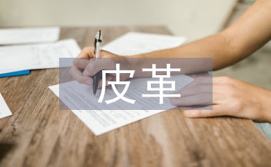 皮革在現(xiàn)代室內(nèi)設(shè)計(jì)中的應(yīng)用