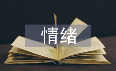 大學(xué)生情緒調(diào)節(jié)論文