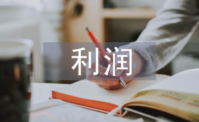 收入費用利潤實訓(xùn)總結(jié)