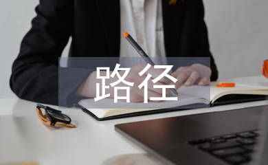 企業(yè)財務(wù)信息化建設(shè)路徑探討