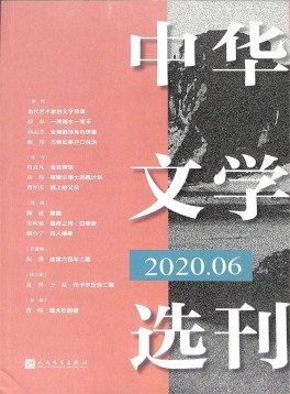 中華文學(xué)選刊