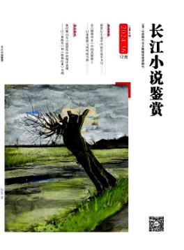 長(zhǎng)江小說(shuō)鑒賞雜志